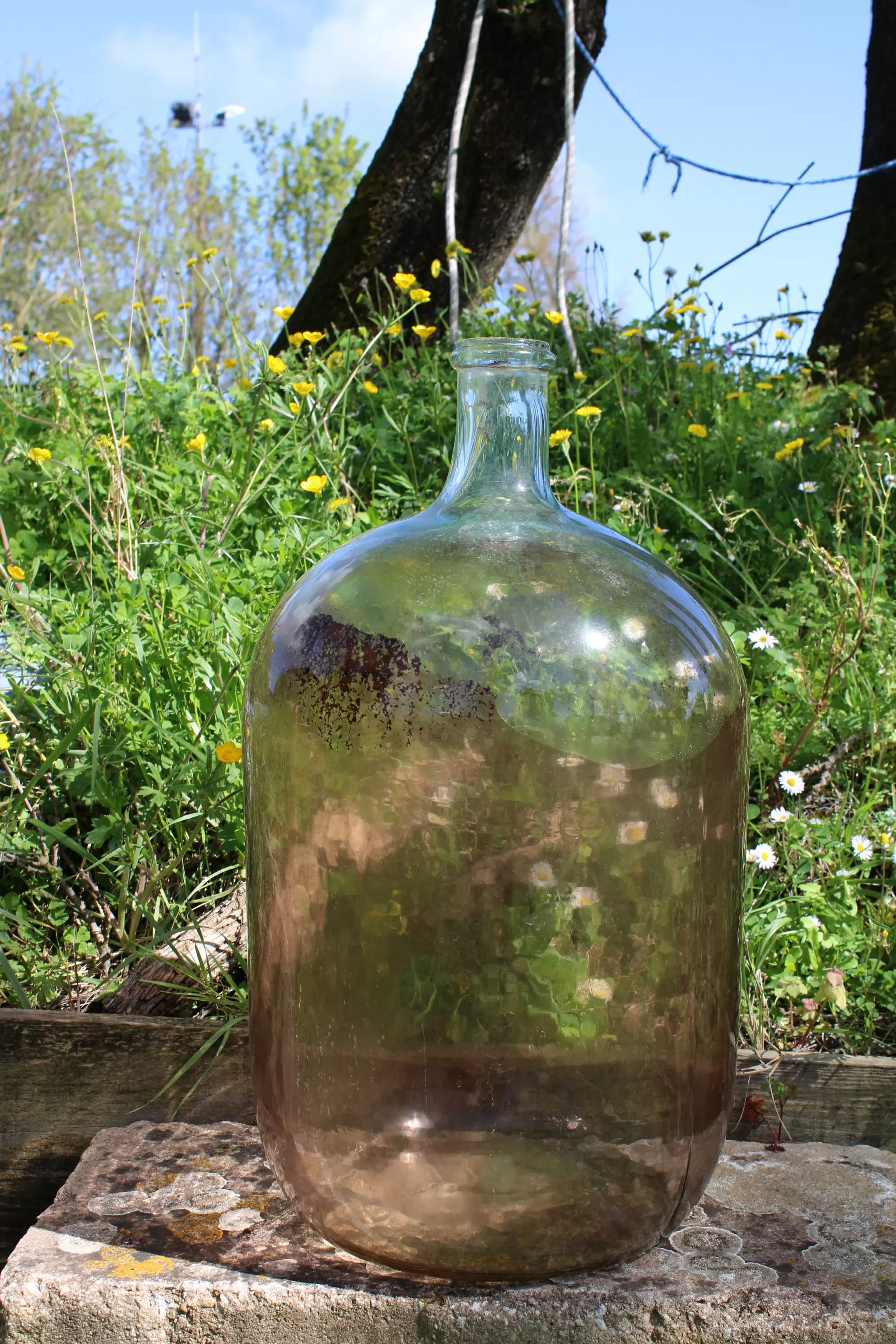 Large bubbled glass carboy | Brikbroc, online flea market