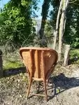 Chestnut armchair art pop 1950 