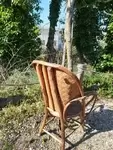 Chestnut armchair art pop 1950 