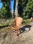 Chestnut armchair art pop 1950 