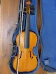 Companion Violin