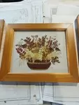 Dried flower frames 