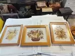 Dried flower frames 