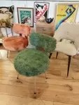 green furry chair