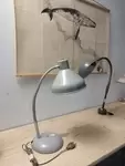 Jumo lamp