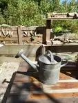 Old vintage watering can 