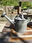 Old vintage watering can 