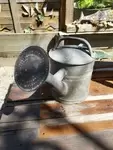 Old vintage watering can 