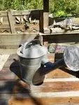 Old vintage watering can 