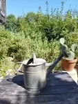 Old vintage watering can 