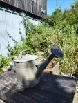 Old vintage watering can 