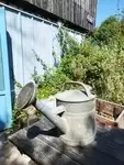 Old vintage watering can 