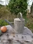 Old zinc watering can