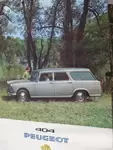 Peugeot 404 station wagon poster