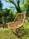 Rattan shell armchair 