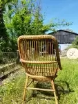 Rattan shell armchair 