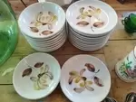 Set of 18 vintage plates