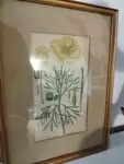 Small old golden frame