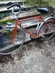 Stella bike