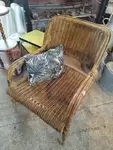 Vintage rattan armchair